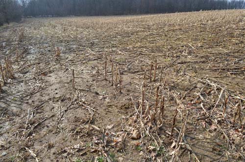 Property photo 89 - 98+/- Acres Offered in 6 Tracts or Combinations, Noble County, Indiana Farm